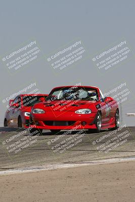 media/Sep-14-2024-Speed Ventures (Sat) [[a2bf28f496]]/Yellow Group/Session 2 (Grapevine)/